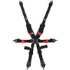 6pt Harness Camlock Indiv Black Euro FIA