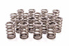 Valve Springs - Single 1.320