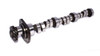 Buick V6 Hyd Roller Cam - 258HR10