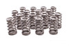 Conical Valve Springs 1.060/1.332