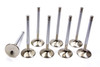 BBC C/P HS 1.880 Exhaust Valves