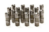Hydraulic Roller Lifters - GM LS Series