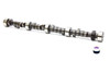 SBC Solid Camshaft 535/246