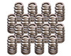 1.290in Beehive Valve Springs