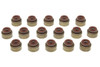 Valve Stem Seals (16pk) 6.6L Duramax 01-09