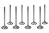 LS1 S/D 1.550 Exhaust Valves