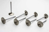 SBM R/M 1.625 Exhaust Valves