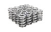 1.580 Dual Valve Springs - Polished