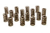 1.244 Single Valve Springs w/Damper - (16)