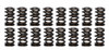 1.260 Dual Valve Springs