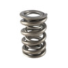 1.625 Dual Valve Springs - (16)