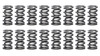 1.274 Dual Valve Springs - (16) GM LS