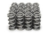 1.550 Dual Valve Springs (16)