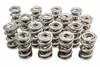 1.681 Triple Valve Springs  (16)