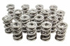 1.710 Triple Valve Springs (16)