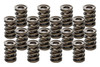 Valve Springs - HR Series (16)  1.555 Dual