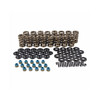 Valve Spring Engine Kit GM LS Series