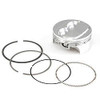 SBC Domed Pro-Series Piston & Ring Set 4.155