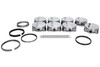 SBC F/T Pro-Series Piston & Ring Set 4.125