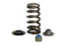 Valve Spring Kits - Ford 5.0L Coyote Engine