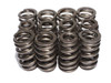 Valve Spring Set - GM V6