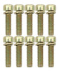 Throttle Body Screws (10pk)