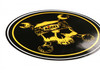 ACCEL Skull Decal (ACC-174839G)