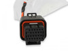 Holley EFI to Racepak CAN Adapter Kit (HOE-1558-447) Holley EFI to Racepak CAN Adapter Kit (HOE-1558-447)