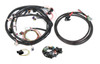Holley EFI Universal Ford V-8 Harness Kit (HOE-2558-508)