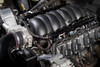 Holley EFI LS Hi-Flow Fuel Rails - Fits LS1, LS2, LS3, LS6 & L99 factory intakes (HOE-1534-209)