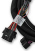 Holley EFI Ford Coyote Ti-VCT Sub Harness (2013-2017) (HOE-1558-125)