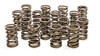 1.450in Valve Springs