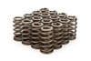 1.210 Beehive Valve Springs 1200 Series