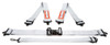RaceQuip Platinum L & L 5pt Seat Belt - 711061