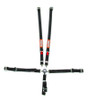 RaceQuip Black JR. CAMLOCK 5pt Seat Belt - 739009