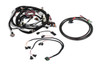 EFI Wiring Harness Kit GM LS2/LS3/LS7