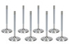 SBC/SBF 1.600 Exhaust Valves 8mm 5.030 OAL