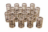 Valve Springs - 604 Crate Engine