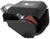 AEM 19-21 Nissan Altima L4 2.5L F/I  Cold Air Intake System - 21-878DS Photo - Primary