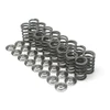 Brian Crower Nissan RB26 Single Valve Springs - BC1230 Photo - Primary