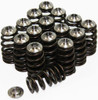 GSC P-D Mitsubishi Evolution 1-9 4G63 Beehive Valve Springs & Ti Retainer Kit - 5040 Photo - Primary