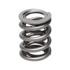 Manley Acura B Series V-Tec HP Race 16pc Valve Springs - 22105-16 User 1