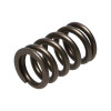 Manley Nissan (RB26DET) 24pc Valve Springs - 22175-24 Photo - out of package