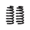 ARB / OME Coil Spring Rear Crv 12/01 To 01/07 - 2538 Photo - Primary
