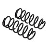 ARB / OME Coil Spring Rear 80 Hd - 2863 Photo - out of package