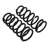 ARB / OME Coil Spring Rear 80 Vhd - 2864 Photo - out of package