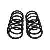 ARB / OME Coil Spring Rear 4Run - 2900 Photo - Close Up