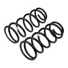 ARB / OME Coil Spring Rear 4Run - 2900 Photo - out of package