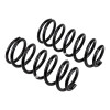 ARB / OME Coil Spring Front Gu Light - 2970 Photo - out of package