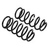 ARB / OME Coil Spring Front Gu - 2973 Photo - out of package